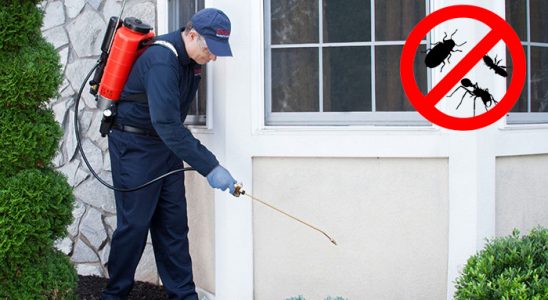 Arpaçay Hamam Böceği İlaçlama böcek ilaçlama ve haşere kontrolü — ilaclama-tr.com